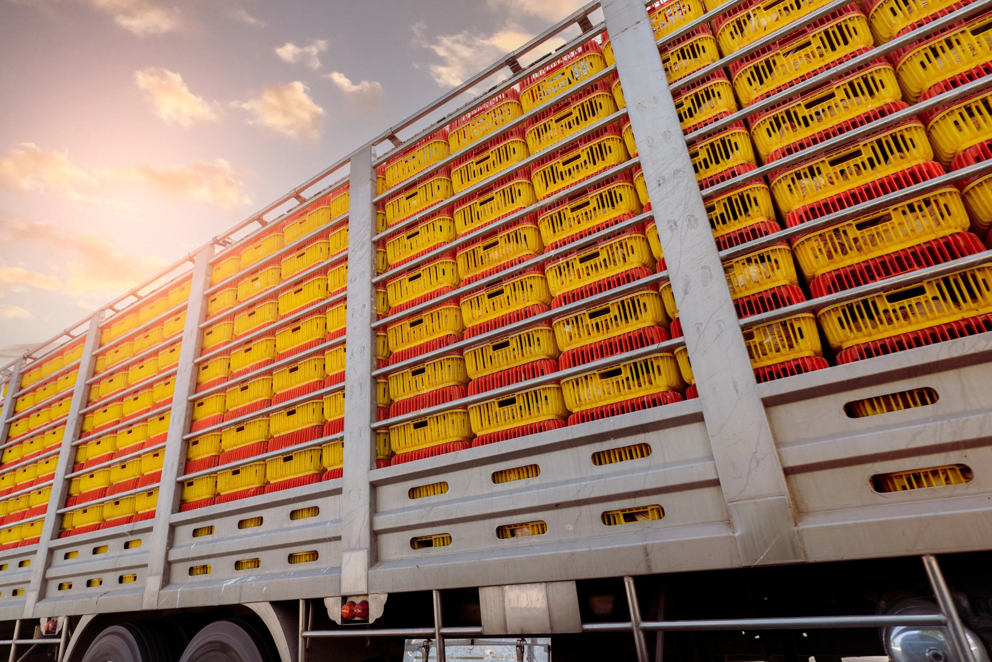 Livestock Cage truck