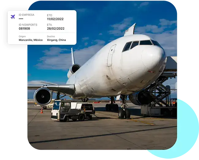 Air freight transport Air freight transport